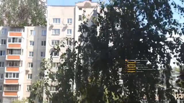 Эксперимент по Наблюдению за гнездом Сорок во время карантина 28.05.20г. смотреть онлайн