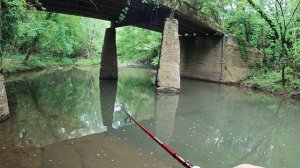 Multispecies Fishing at Apocalypse Creek with ONLY Soft Plastics.