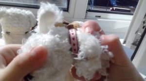 Моя коллекция the dog collection. Декоративные собаки. Часть 1.