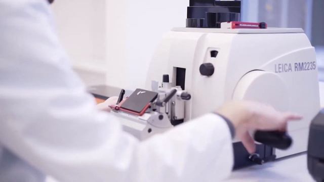 Что такое франшиза №1? смотреть онлайн