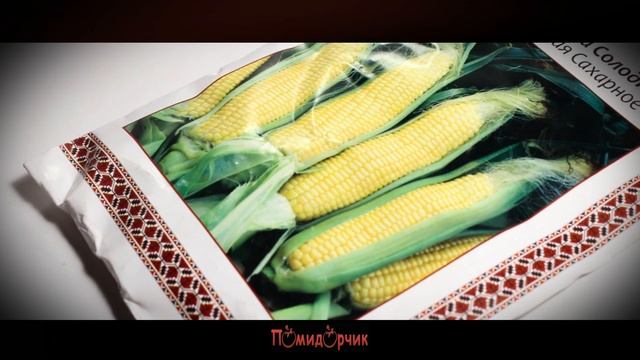 Семена Кукуруза сахарная Сладкое Чудо - Помидорчик смотреть онлайн