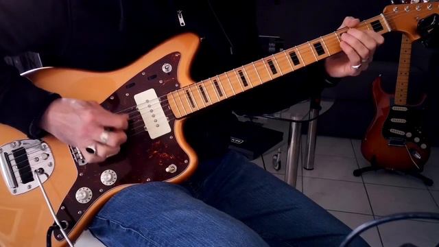 Aloha Swamp - Love Birds - Guitar Cover смотреть онлайн