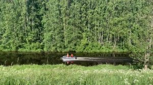 Музыка дискотек Даша Волна Чаща кавер Вишня