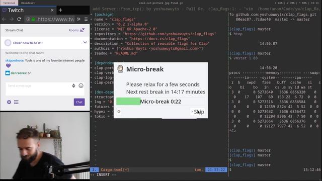 CLI PARSERS & HTTP LIBRARIES | Rust | Programming смотреть онлайн