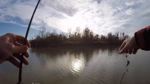 Рыбалка на реке Псекупс, Четук