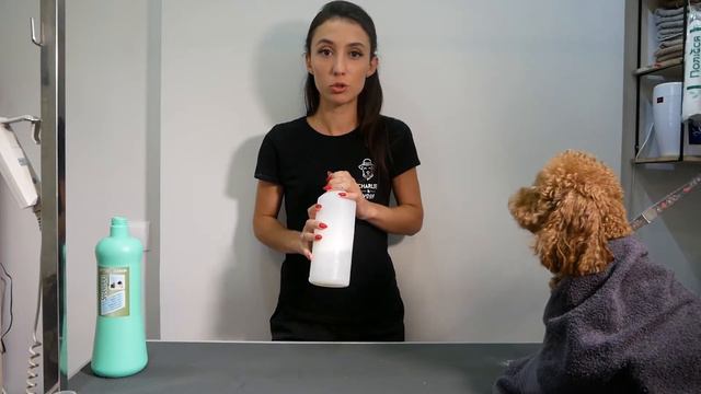 Купання пуделя, поради грумерам смотреть онлайн