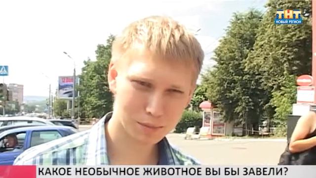 Какое необычное животное вы бы завели? смотреть онлайн