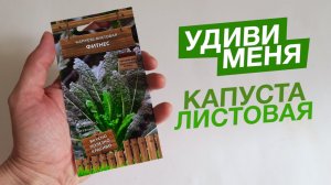 Удиви меня_ КАПУСТА ЛИСТОВАЯ ФИТНЕС ??? Просто восторг!