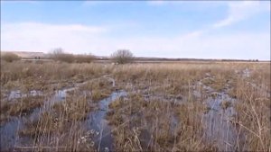 махокрыл своими руками