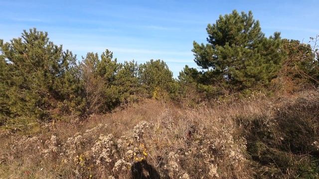 15 11 2021 Люди берегите природу смотреть онлайн