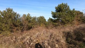 15 11 2021 Люди берегите природу