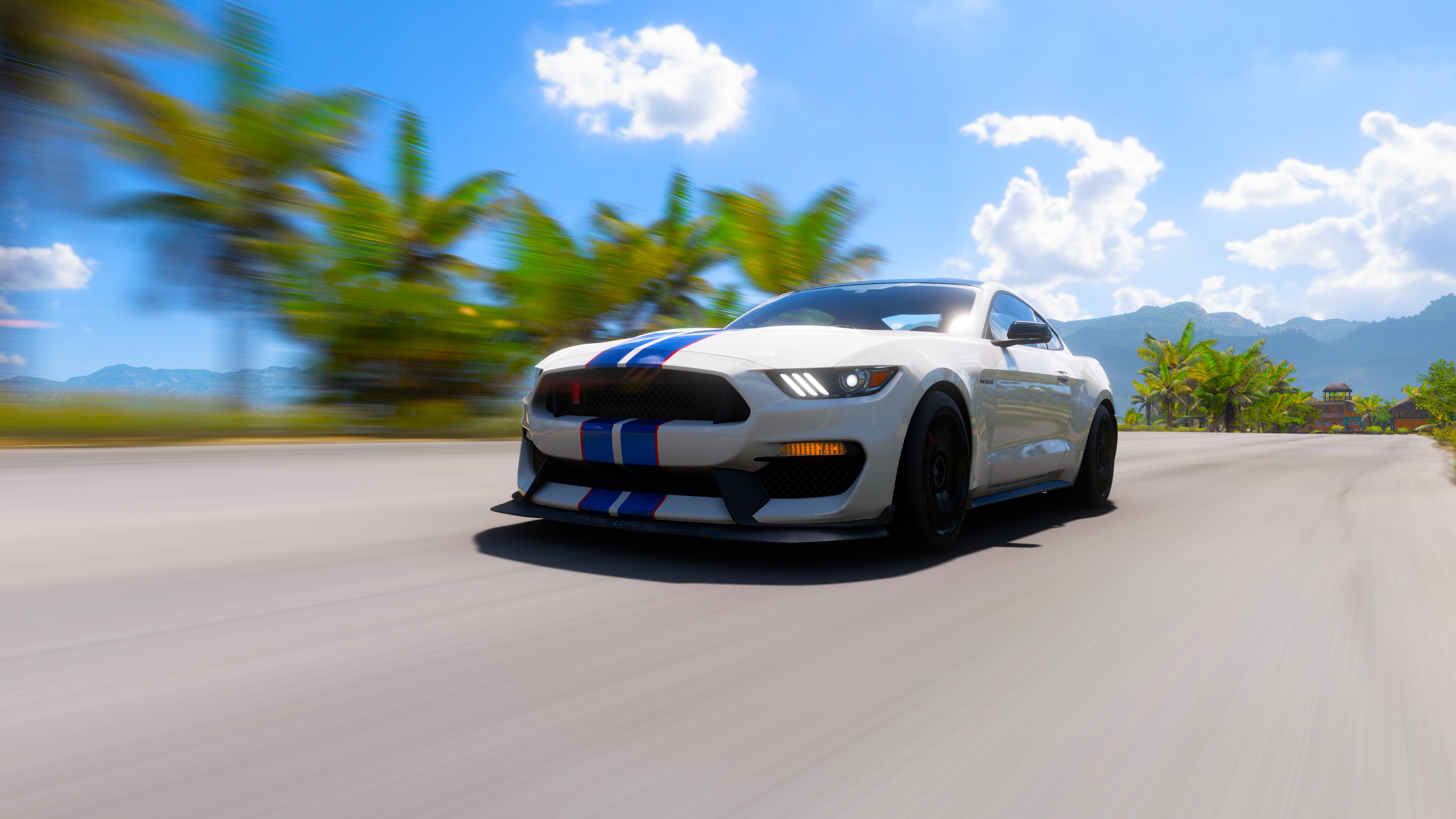 FORZA HORIZON 5|FORD MUSTANG SHELBY