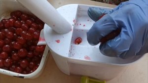 Как быстро удалить косточки из вишни. Устройство для удаления вишневых косточек.