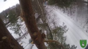 INGRIASPIL. Видеоотчёт работы февраль 2023.