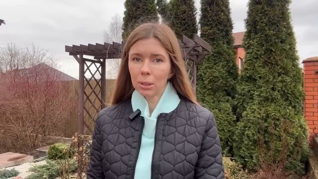 На что обратить внимание при выборе теплицы. Стоит ли делать её своими руками. Теплица вдоль забора