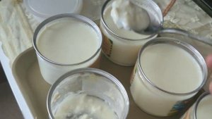 закваска йогурта из молока своими руками