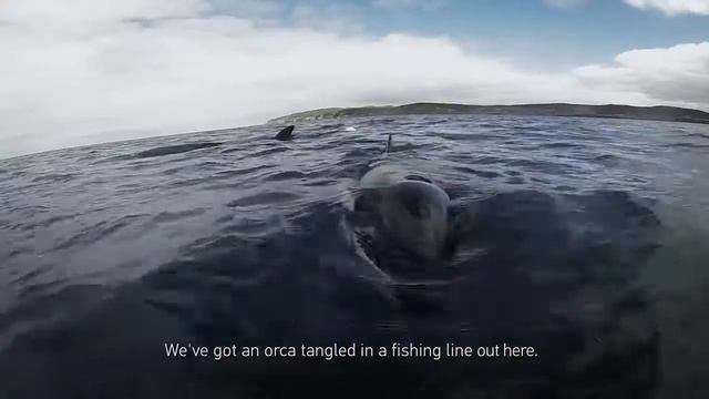 Смотреть данное видео в большом экране смотреть онлайн