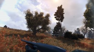 Stalker Anomaly Gamma#2