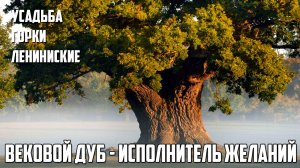 ВЕКОВОЙ ДУБ - ИСПОЛНИТЕЛЬ ЖЕЛАНИЙ / УСАДЬБА ГОРКИ ЛЕНИНИСКИЕ / ДОМОДЕДОВО
ВЕКОВОЙ ДУБ - ИСПОЛНИТЕЛЬ