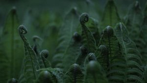 Грустная печальная музыка без слов для фона | Sad sad music without words for background