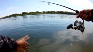 Большая река, не означает больше рыбы... или ещё не время. Устье Северского Донца. Дон. Спиннинг.