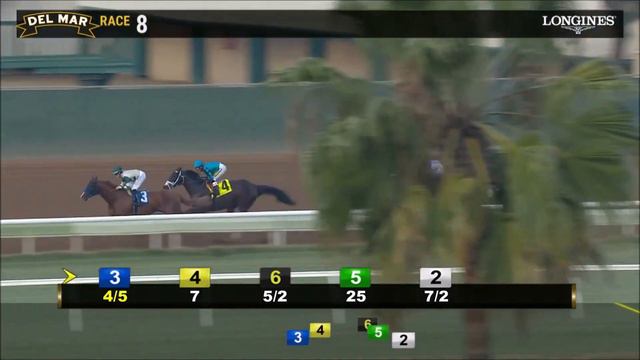 Haskell Profile: Mucho Gusto смотреть онлайн