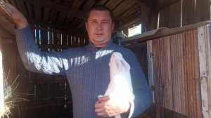 Пополнение в крольчатнике!!! БЕЛЫЙ ПАННОН!!! [бройлерная порода кроликов]