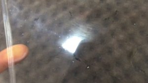 Subaru XV ремонт фар тюнинг фар замена линз диодные линзы