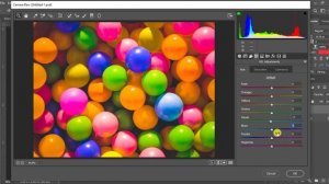 Camera Raw Filter in Photoshop CC 2020 HSL Adjustment