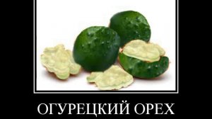 ОВОЩИ+ШИЗА=