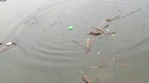 Беспроводной эхолот- Bluetooth - приложение к смартфону.