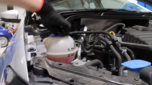 34,000km Oil Change! 19,000km OVERDUE for Service VW Polo 6C 66TSI 1.2TSI DSG смотреть онлайн