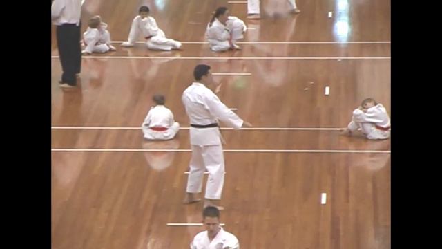gkr wc3 2005 10 29 30 r09-12 35 44yrs male 3rd+ kata 02 hangetsu смотреть онлайн