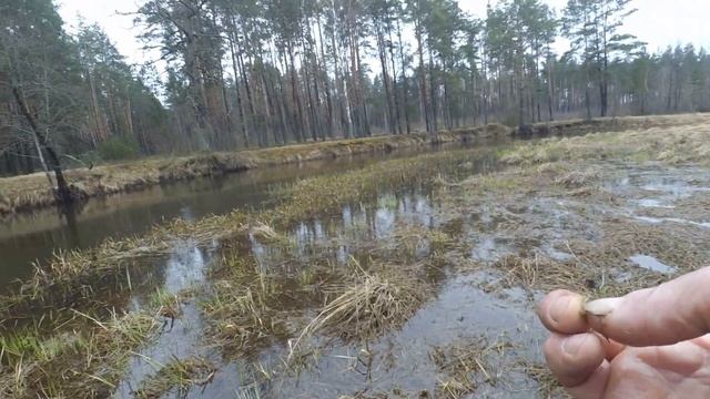 Рыбалка в проводку. На поплавочную удочку. Плотва Красноперка. Весенняя рыбалка 2022