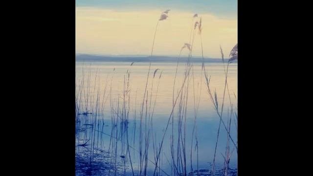 Ты река ль, моя реченька