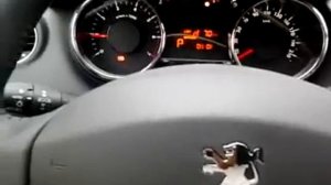 Пежо 3008. Стук руля.