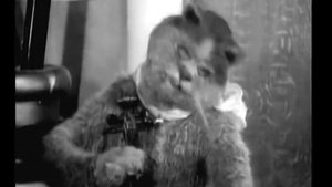 Кот-мистификатор и мышь-эпилептик (1914 год, 25 кадр)