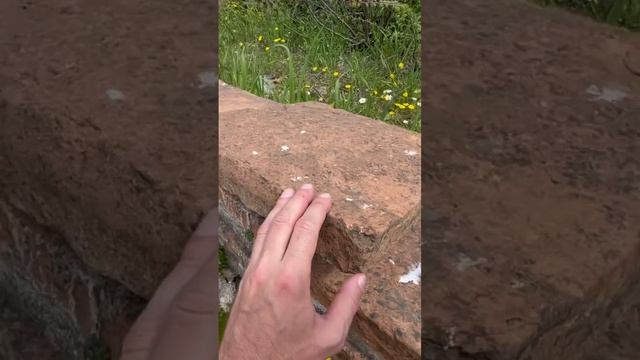 ?Особенности плинфы в древней Магнезии смотреть онлайн