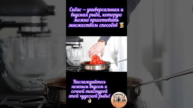 Сибас — универсальная и вкусная рыба, которую можно приготовить множеством способов 🧑🍳