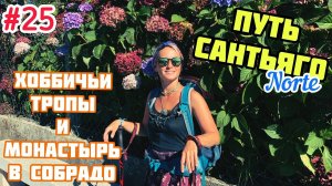 #25 ПУТЬ САНТЬЯГО Норте | Хоббичьи тропы и монастырь в Собрадо