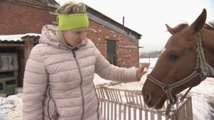 Приют для лошадей
