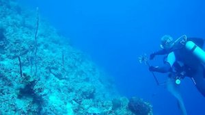 подводная охота в Карибском море