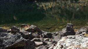 Комсомольск на Амуре Достопримечательности Амут 2017