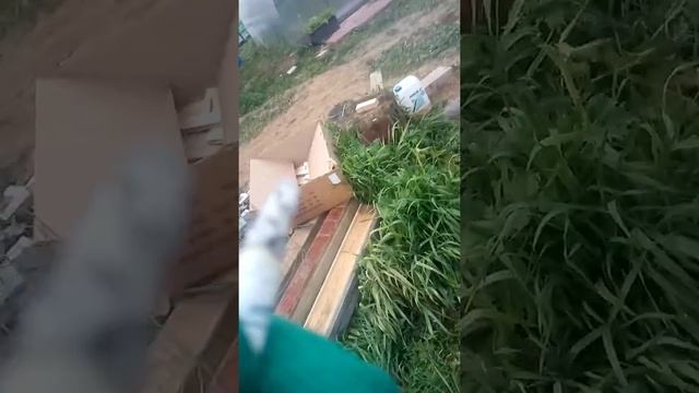 обжиг печи Везувий русский пар ковка 18