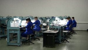 Развитие завода «Кристалл» поддержит региональная власть