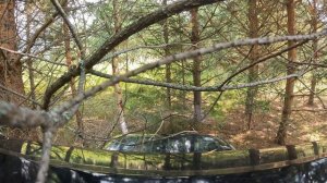 Трофи  КИРОВ 2024