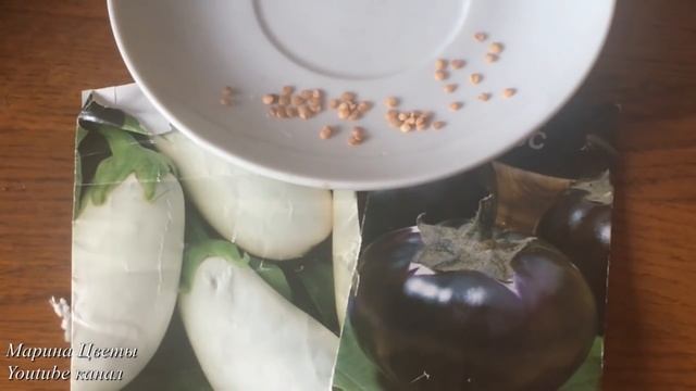 АГРОТЕХНИКА БАКЛАЖАН - ЭТО ВАЖНО !!! смотреть онлайн