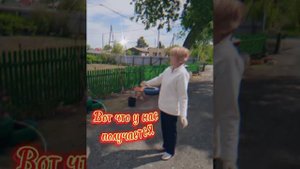 2024. Ишимский район, ОБ№4, с. Плешково