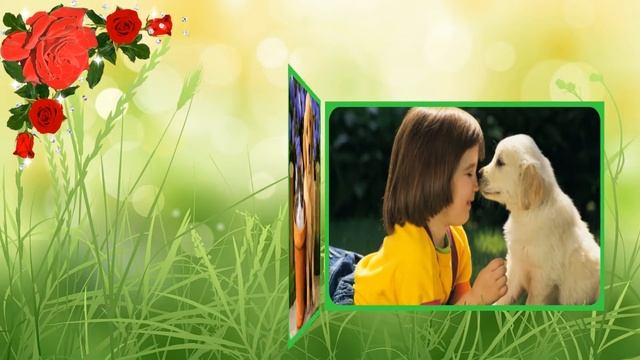 Эти забавные животные смотреть онлайн