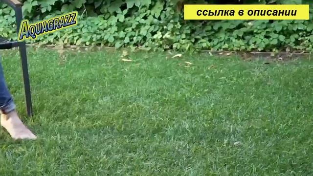 как посеять газон весной